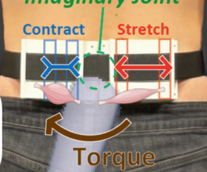 Imaginary Joint